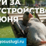 ГОЛОСУЕМ ЗА КОМФОРТНУЮ ГОРОДСКУЮ СРЕДУ! - Газета Кологривский край